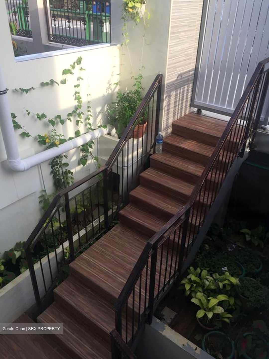 Nanyang Park (D19), Terrace #461473181